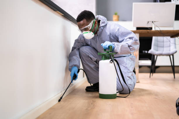 Best Fumigation Services  in Gervais, OR